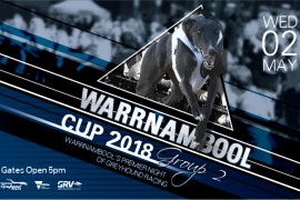 2018 Warrnambool Cup draws elite field for Wednesday night’s final