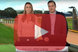 2018 Group Two Warrnambool Cup preview