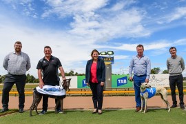 Greyhound clubs unite to launch exciting ‘Western Festival of Racing’